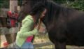 dr dolittle 3-avi_532.jpg